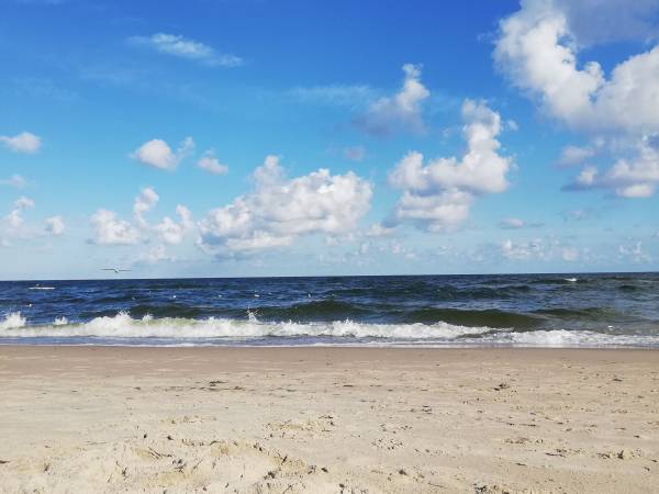 Ośrodek Wczasowo - Rehabilitacyjny GWAREK