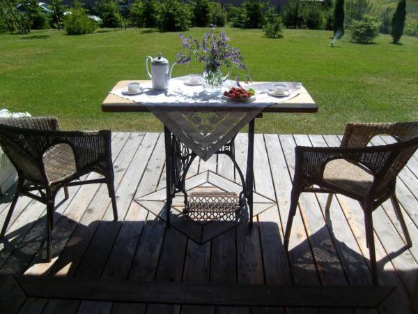 Pod słońcem Dębiny