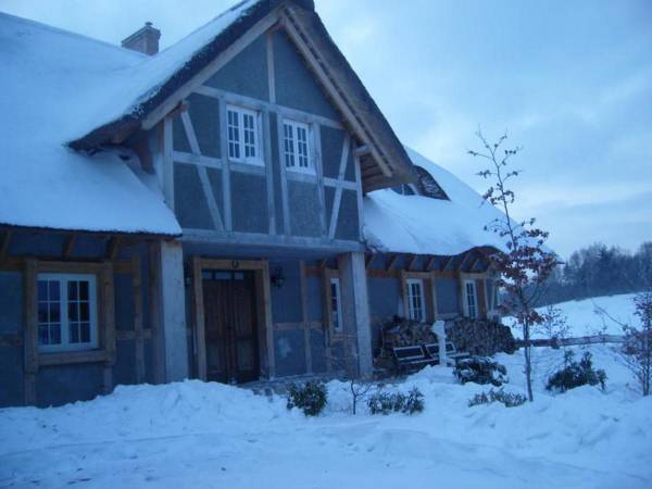 Pod słońcem Dębiny