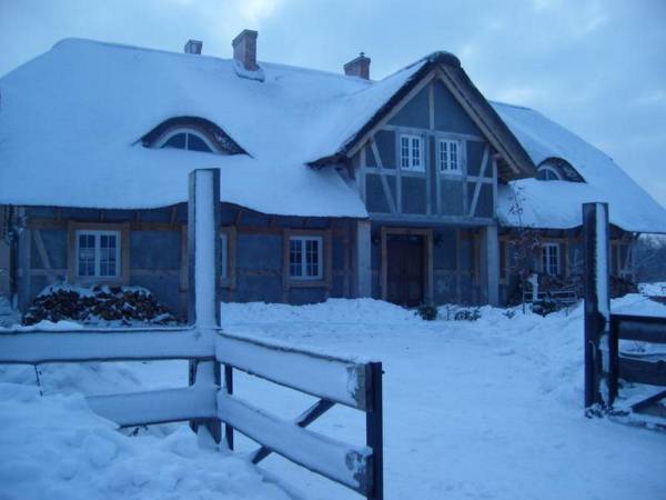 Pod słońcem Dębiny