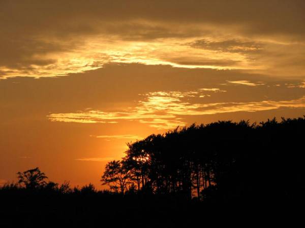 Pod słońcem Dębiny