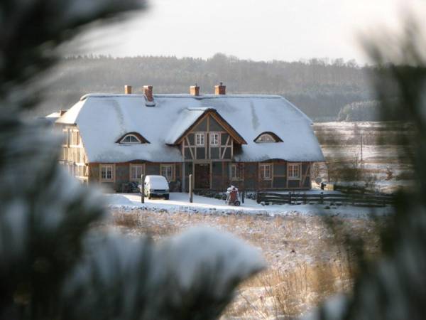 Pod słońcem Dębiny