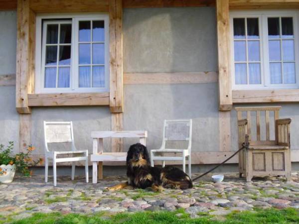 Pod słońcem Dębiny