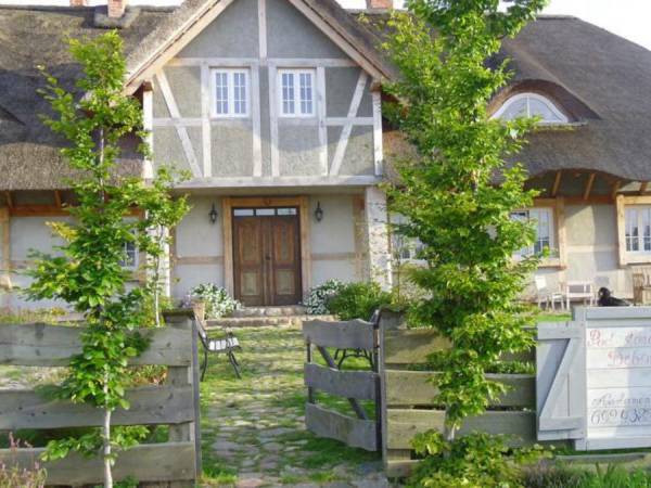 Pod słońcem Dębiny