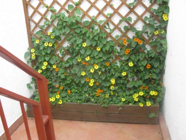 Wynajem kwater Krzysztof Moll