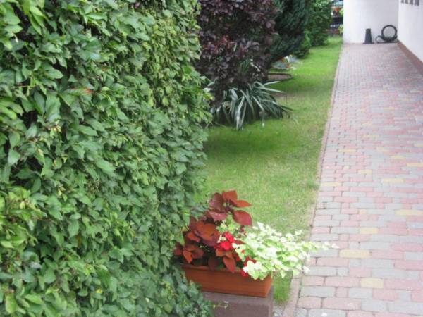 Wynajem kwater Krzysztof Moll