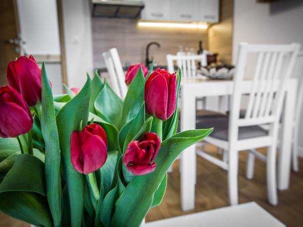 Apartamenty przy skoczni