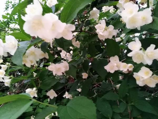 Agroturystyka nad Jeziorem Białym