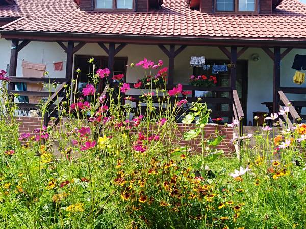 Agroturystyka nad Jeziorem Białym