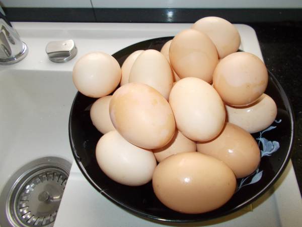 Agroturystyka nad Jeziorem Białym