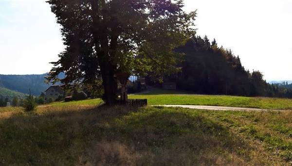 Chata Wielki Potok - Domek i Apartamenty