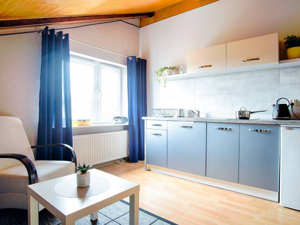 Apartament - salon z aneksem