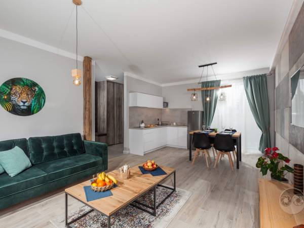 pokój dzienny + kuchnia 