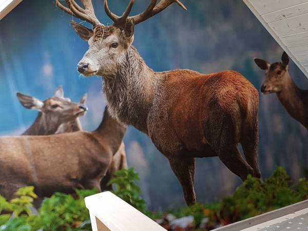 Pokój nr 2 górna część