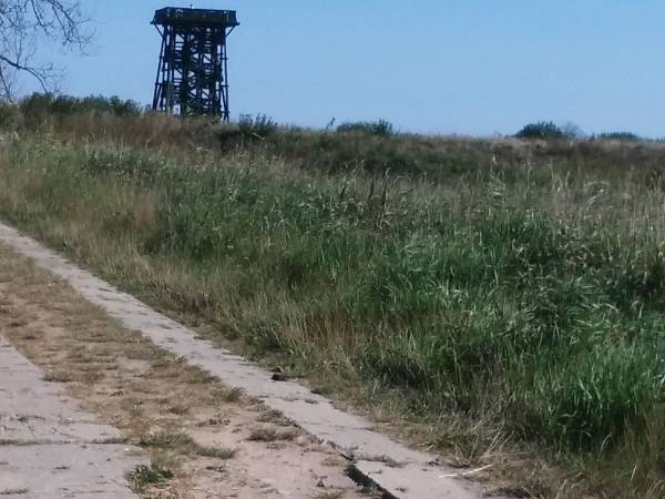 Wieża widokowa na jezioro od strony Dębiny