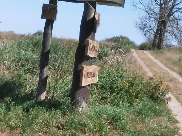 Ścieżki rowerowe przy jeziorze