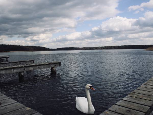 Zimowy widok z pomostu. Jezioro Necko