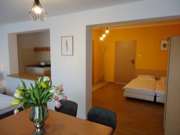 Pokój 4 os z aneksem kuchennym i tarasem