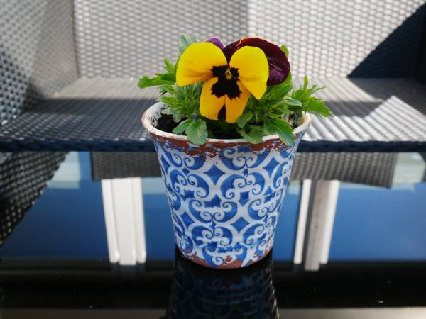 Dom gościnny u Michała