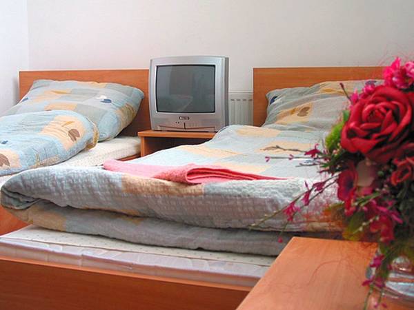 Pokoje na Hali Sportowej