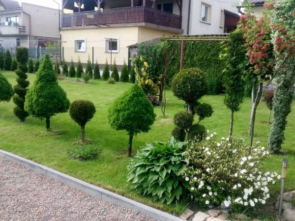 Przestronny ogród , z wyznaczoną strefą relaksacyjną wśród zieleni .