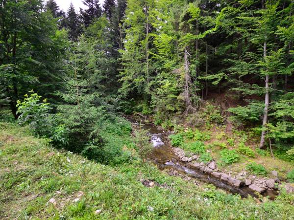 Domki Letniskowe Sobalski