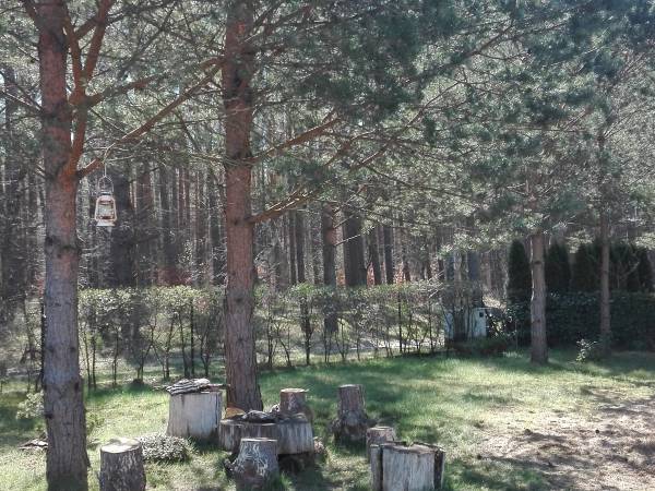 Białógórska Kajuta