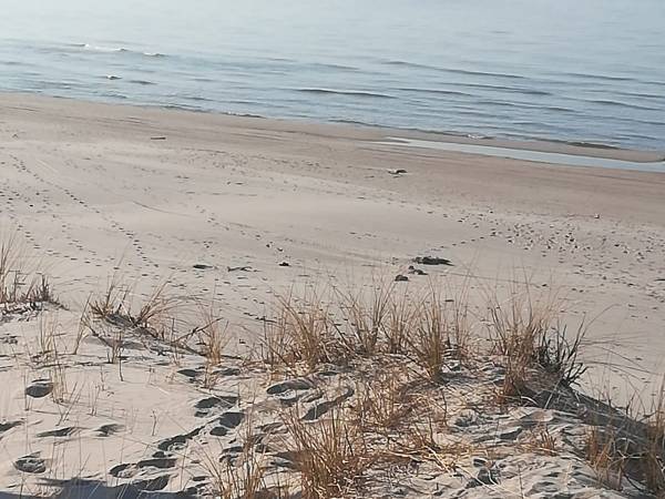 Białógórska Kajuta