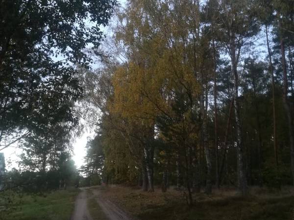 Białógórska Kajuta