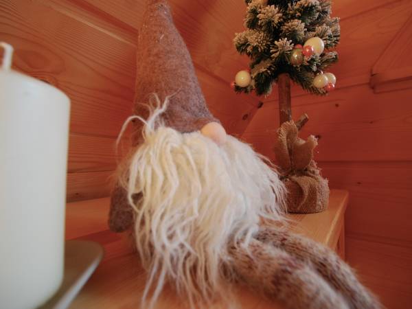 Apartamenty i Domek Pod Skocznią 