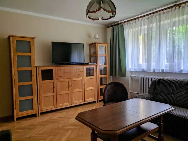 Mieszkanie pokój dzienny