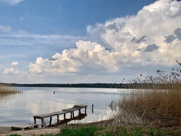 Jezioro Necko. Ok 4min pieszo od Willi Kormoran