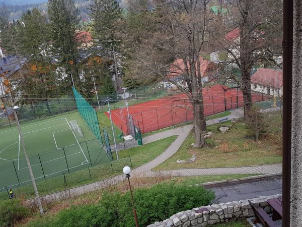 Orlik boiska przy DW