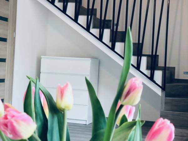 Nord House Apartamenty