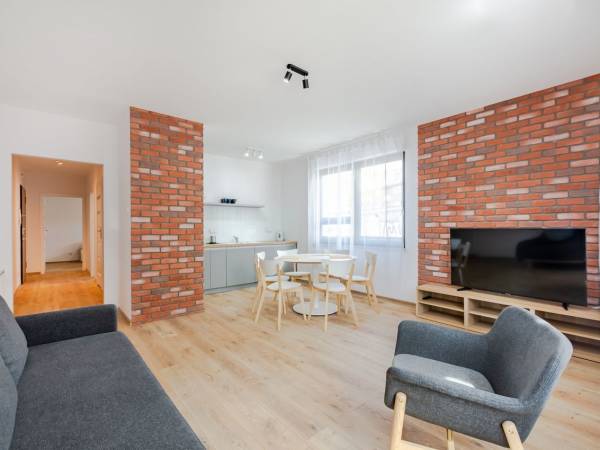 salon z aneksem kuchennym