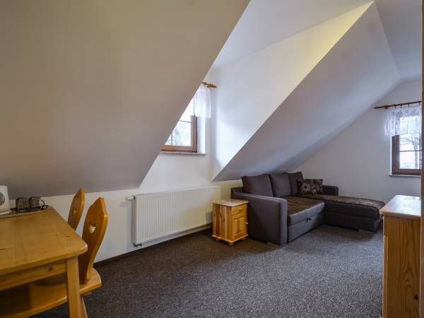 Apartament pokój dzienny