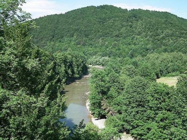 Domki letniskowe i agroturystyka