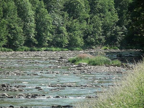 Domki letniskowe i agroturystyka