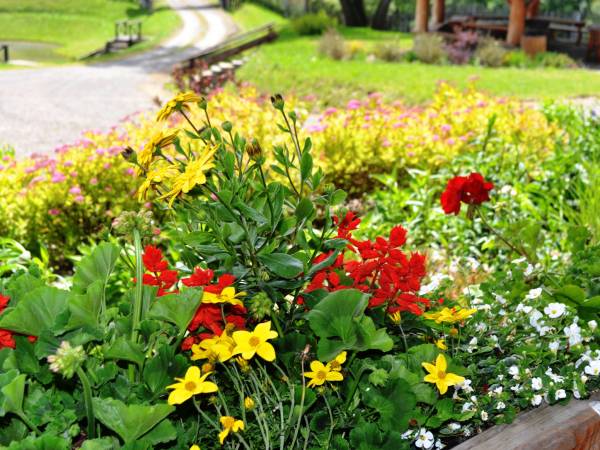 Sokolisko Gospodarstwo Agroturystyczne 