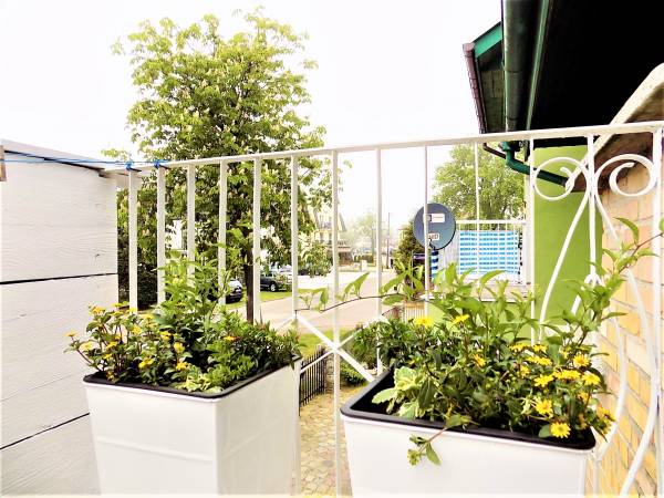 Pokoje gościnne u Franciszka