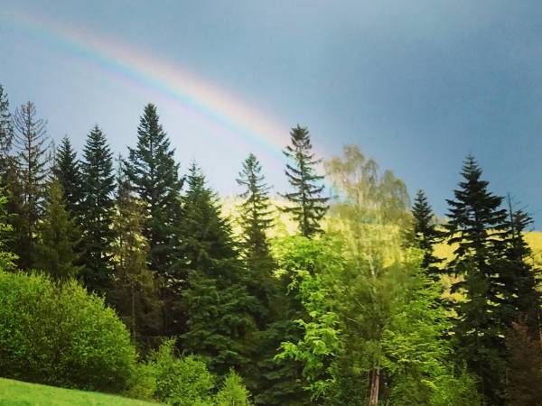 Domek - Agroturystyka pod Lipą