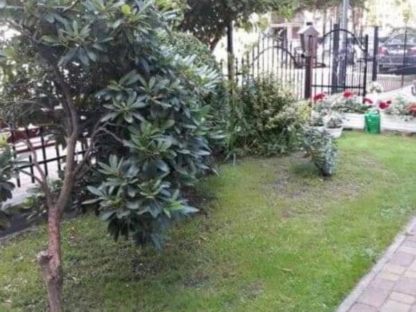 Dom Gościnny Pod Sosnami