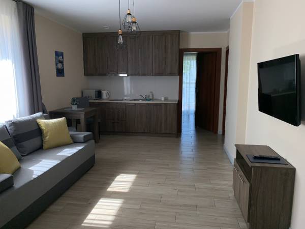 Salon z aneksem kuchennym. Apartament (4)