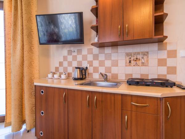 Pokój trzyosobowy z aneksem (1)