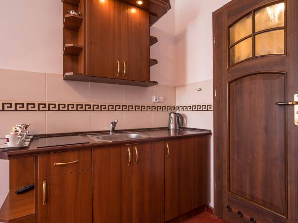 Pokój trzyosobowy z aneksem (5)