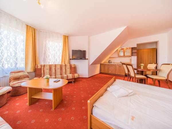 Pokój czteroosobowy z aneksem (17)