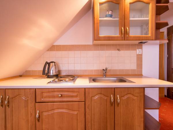 Pokój czteroosobowy z aneksem (17)