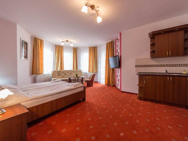 Pokój trzyosobowy z aneksem (5)