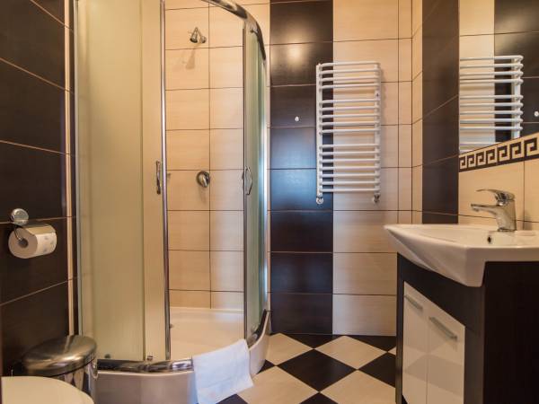 Pokój trzyosobowy z aneksem (5)