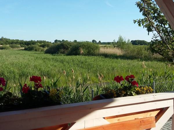 Domki letniskowe Chabrowa 1